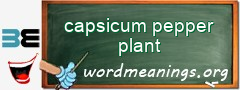 WordMeaning blackboard for capsicum pepper plant